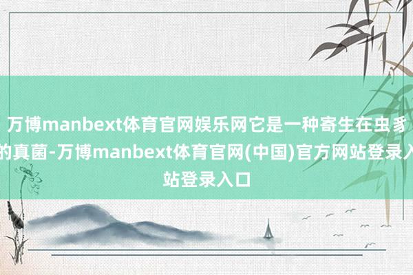万博manbext体育官网娱乐网它是一种寄生在虫豸上的真菌-万博manbext体育官网(中国)官方网站登录入口