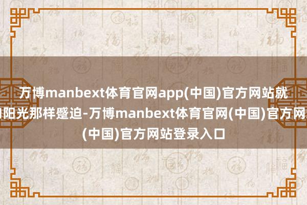 万博manbext体育官网app(中国)官方网站就如同空气和阳光那样蹙迫-万博manbext体育官网(中国)官方网站登录入口