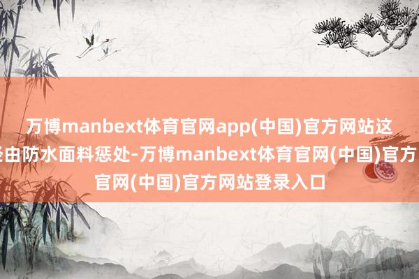 万博manbext体育官网app(中国)官方网站这款羽绒服还经由防水面料惩处-万博manbext体育官网(中国)官方网站登录入口