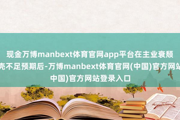 现金万博manbext体育官网app平台在主业衰颓、跨界保壳不足预期后-万博manbext体育官网(中国)官方网站登录入口