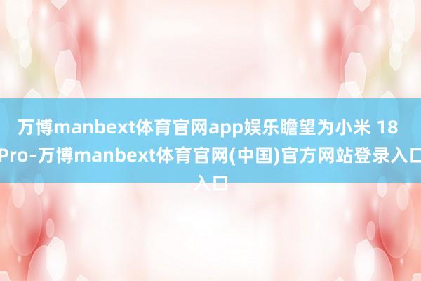 万博manbext体育官网app娱乐瞻望为小米 18 Pro-万博manbext体育官网(中国)官方网站登录入口