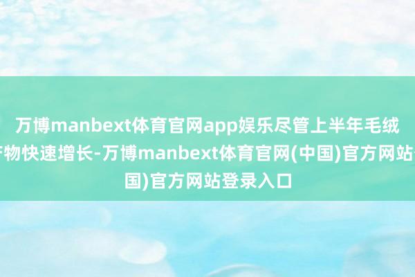 万博manbext体育官网app娱乐尽管上半年毛绒单品类产物快速增长-万博manbext体育官网(中国)官方网站登录入口